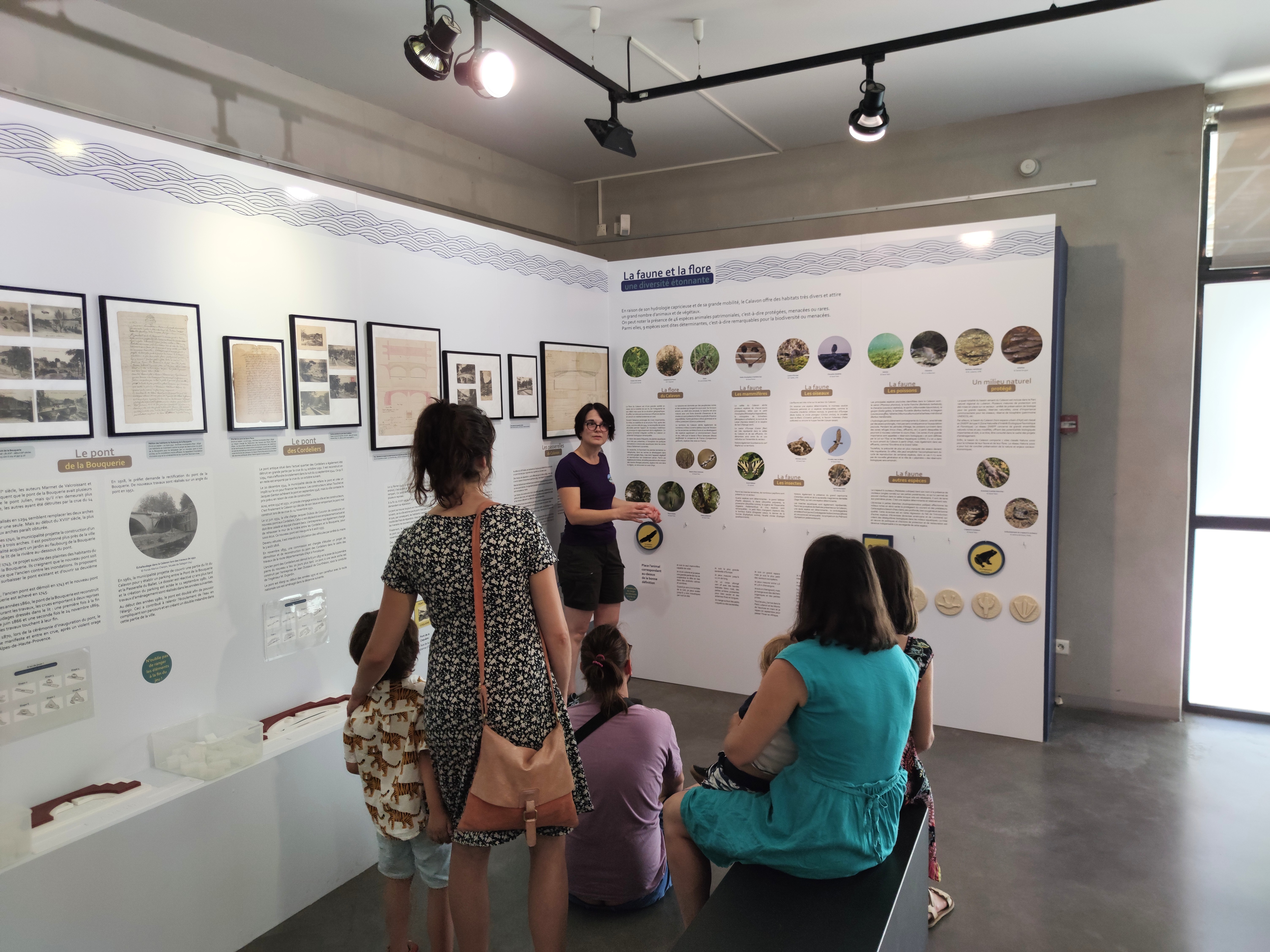 Visite insolite dans un musée, sur les amphibiens