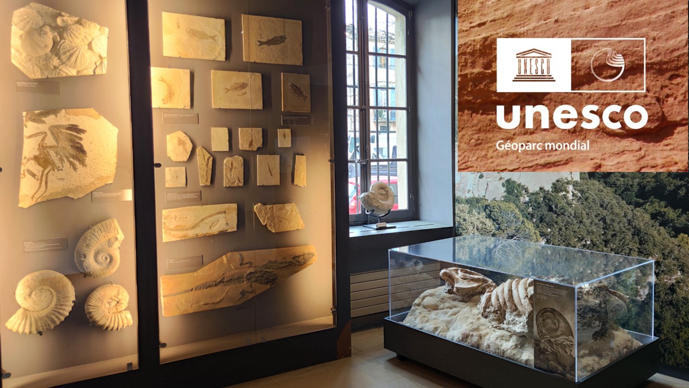 Geology museum in Apt – fossils of the Luberon UNESCO Geopark