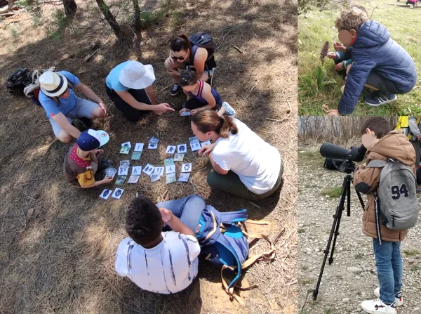Bugology and birdology – family insect and bird discovery in the Luberon