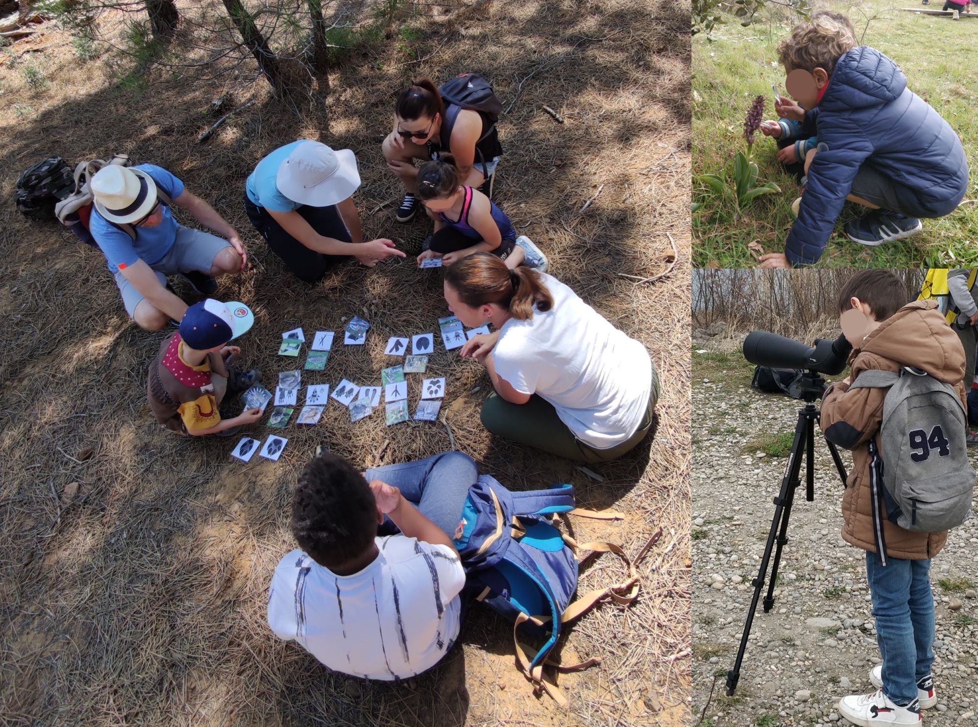 Observations et jeux lors d’une balade naturaliste en famille.