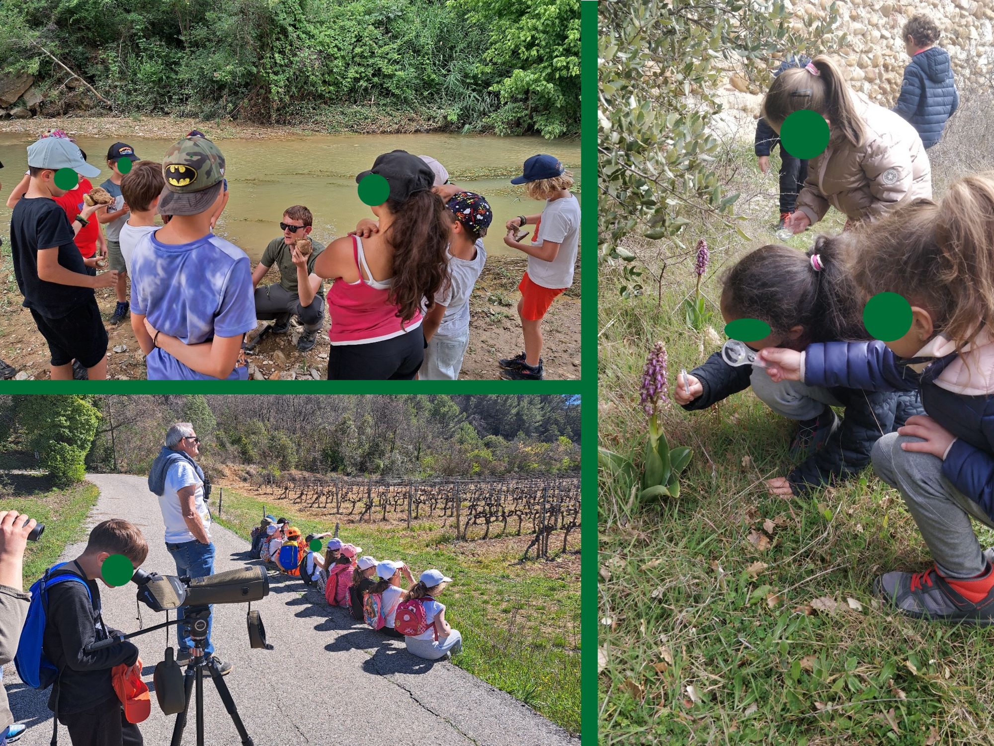 Balades naturalistes avec des enfants hors de l'école