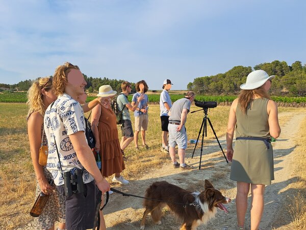 Balade découverte de la biodiversité en groupe ou en famille